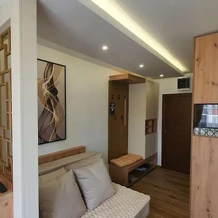 Lejlighed Kasandra Wellness A203 President Kop Kopaonik