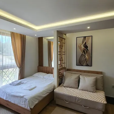 Kasandra Wellness A203 President Kop