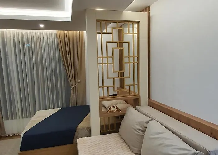 Kasandra Wellness A203 President Kop كوباونيك