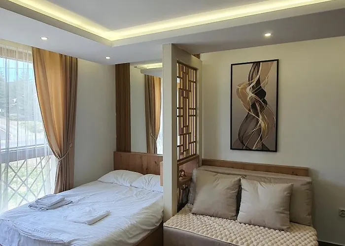 Kasandra Wellness A203 President Kop